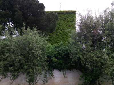 Si tratta di una vecchia torretta di controllo circondata da quinquefolia, visibile anche dall'esterno della villa